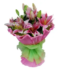 6 Pink Perfume lilies