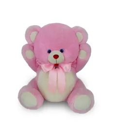 pink teddy bear ti manila Philippines