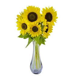 ​6 Pieces Sunflowers in Vase