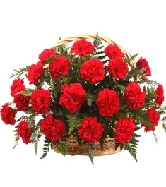 1 dozen carnation basket to philippines