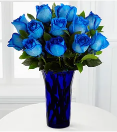 12 Blue Ecuadorian Roses to Philippines