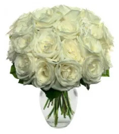 18 White Roses Send to Philippines