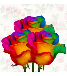 Rainbow Rose 3pcs Send to Philippines