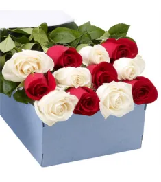 One Dozen Red & White Roses in a Box Delivery to Philippines