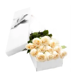 1 Dozen White Roses in a Box Online Order to Philippines