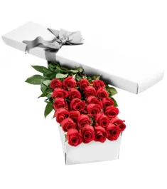 2 Dozen Premium Red Roses in a Box Send to Philippines