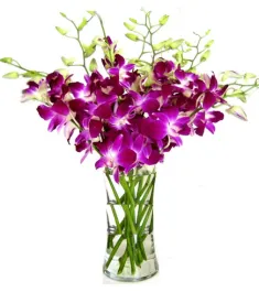 8pcs. Purple Orchids in a Vase