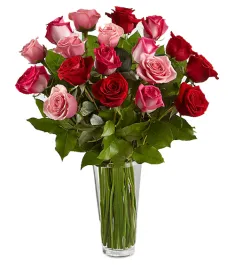 24 Hot Red & Pink Roses Send to Philippines