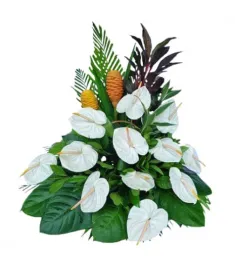 Anthurium in a Basket Arrangements For All Saints' Day