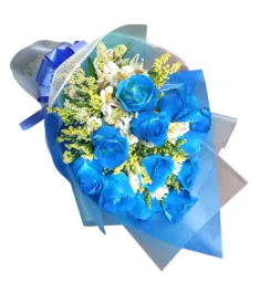 12 Blue Ecuadorian Roses to Philippines