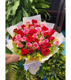 36 red and pink roses