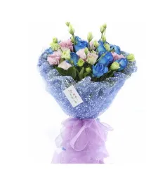 12 Blue Ecuadorian Roses to Philippines