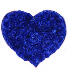 12 Blue Ecuadorian Roses to Philippines