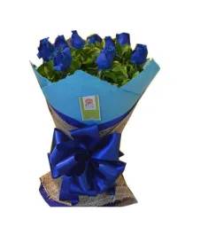 12 Blue Ecuadorian Roses to Philippines