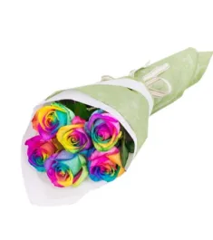 12 Rainbow Roses in Vase to Philippines