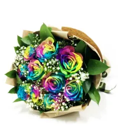 12 Rainbow Roses in Vase to Philippines