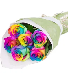 12 Rainbow Roses in Vase to Philippines