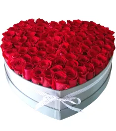 100 Heart Shape Red Roses