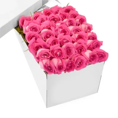 3 Dozen Pink Roses in a Box Delivery to Philippines,Roses Box to Philippines