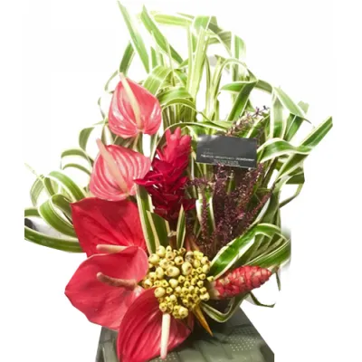 Anthurium in a Basket Arrangements For All Saints' Day