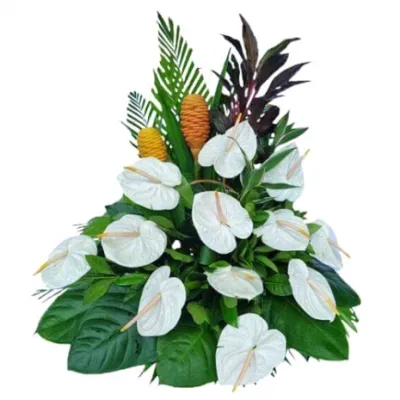 Anthurium in a Basket Arrangements For All Saints' Day