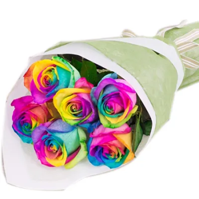 12 Rainbow Roses in Vase to Philippines