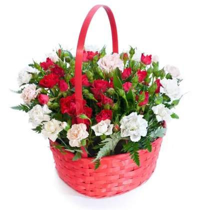 Red & White Roses in Basket to Philippines