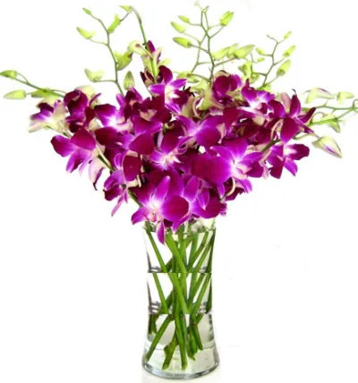 8pcs. Purple Orchids in a Vase