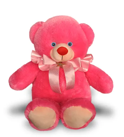 Pink Teddy bear to Philippines