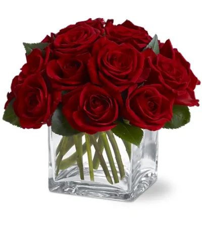 12 Red Roses in Vase to Philippines