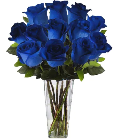 12 Blue Ecuadorian Roses to Philippines