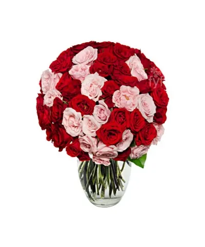 50 Blooms of Pink and Red Roses Delivery to Philippines