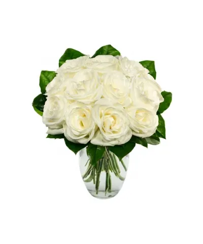 One Dozen White Roses Send to Philippines,Roses to Philippines