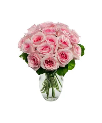 18 Light Pink Roses Send to Philippines