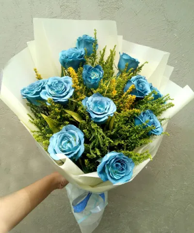 12 Blue Ecuadorian Roses to Philippines