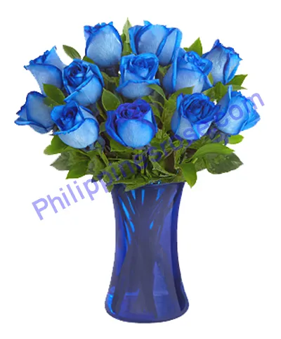 12 Holland Blue Roses Delivery to Philippines