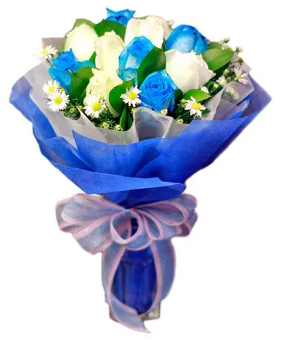 12 Blue Ecuadorian Roses to Philippines