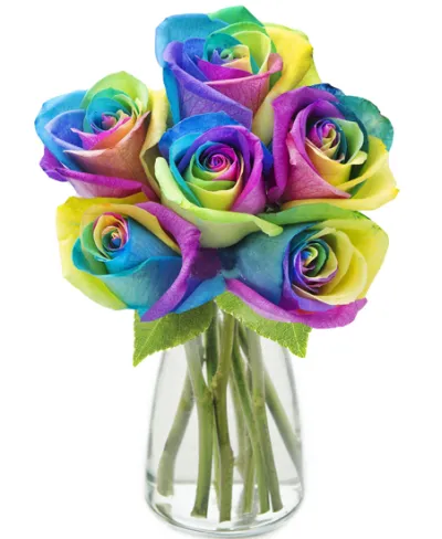 12 Rainbow Roses in Vase to Philippines