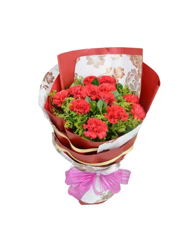 12 Red Carnations