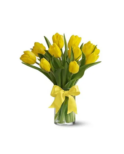 Yellow Tulip with Vase