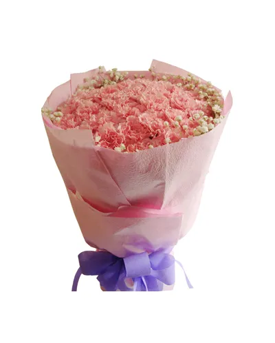 33 Pink Carnations