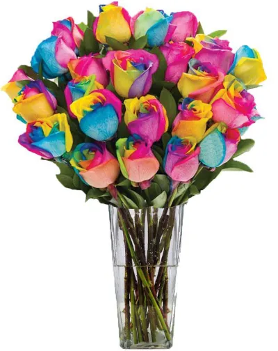 12 Rainbow Roses in Vase to Philippines